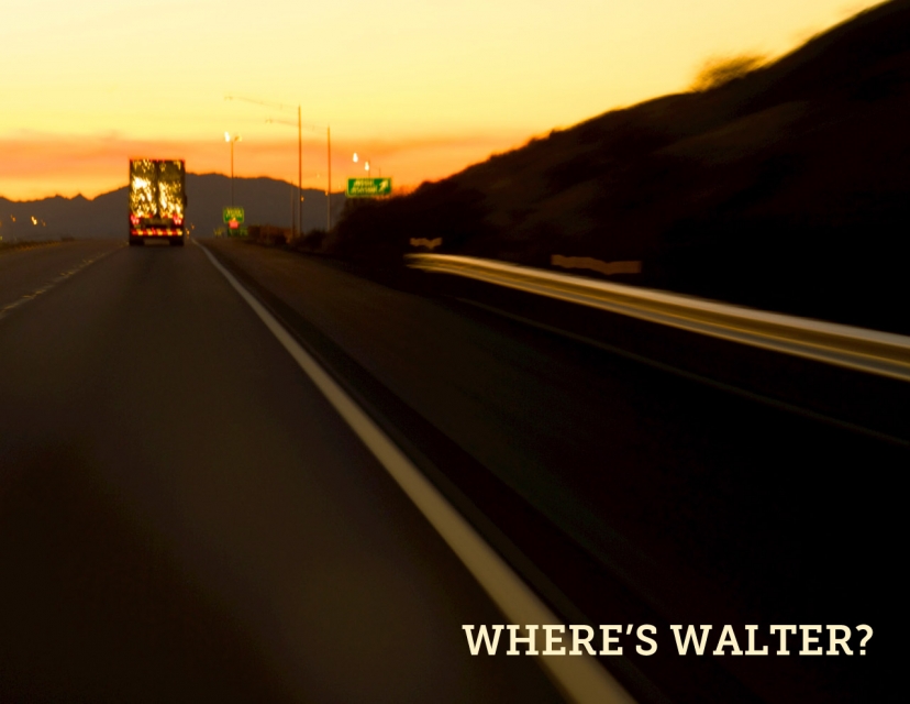 Where’s Walter? Photobook